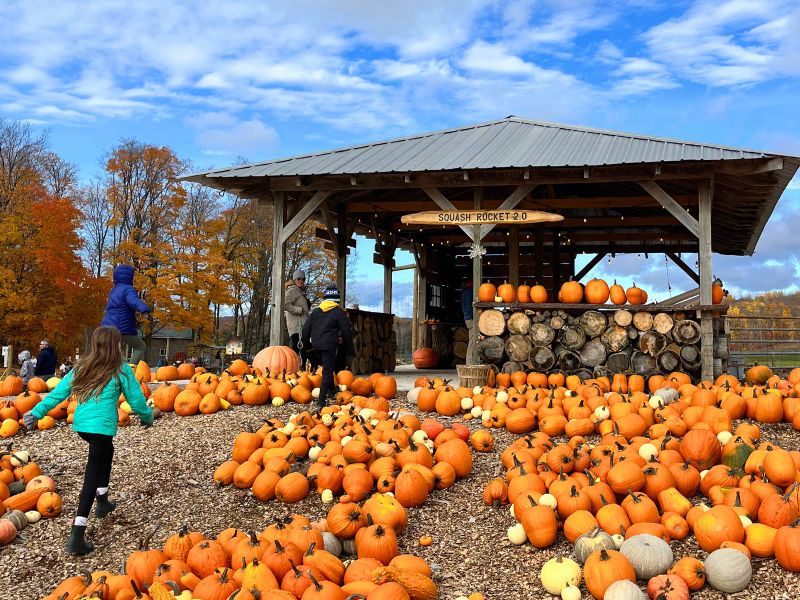 Fall Festivals in Michigan, Pond Hill Farm, Harbor Springs