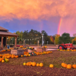 Head to Deep Roots for  Farm Fresh Donuts, Corn Maze, Glow Nights & More this Fall!