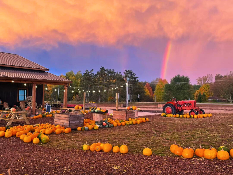 Deep Roots Produce Rainbow in Fall