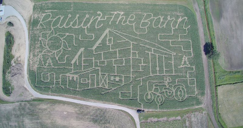 Ed Dunneback Corn Maze 2024