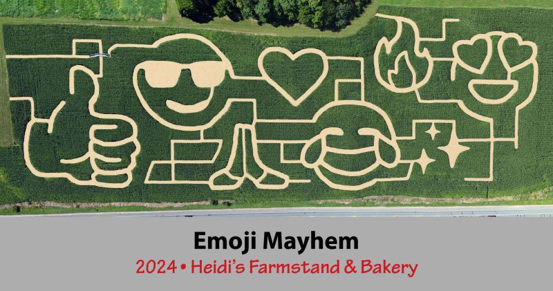 Heidi-2024-cornmaze