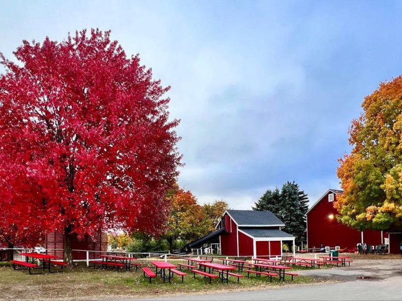 Schwallier's Country Basket - Best Pumpkin Patch - FB