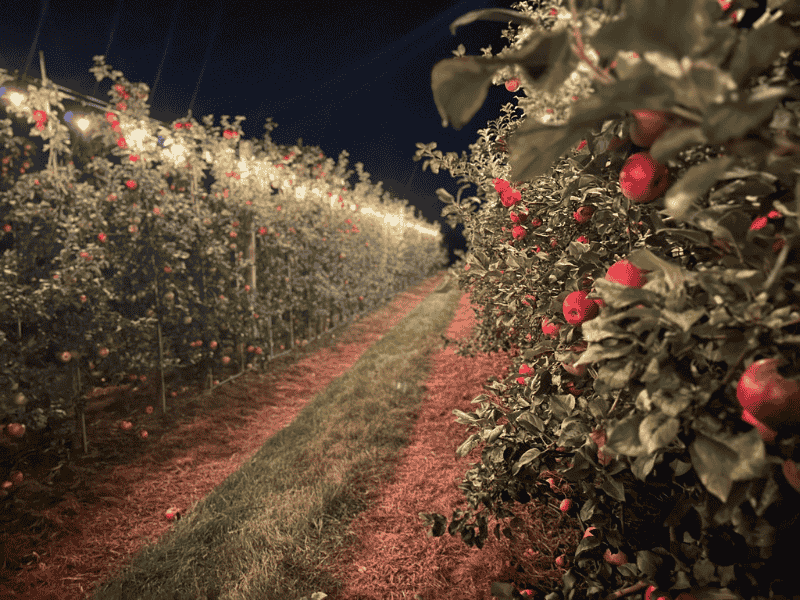 Farmhaus Farms at night