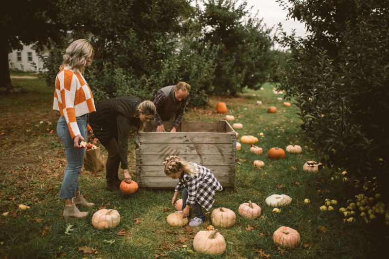 Pumpkin Patch