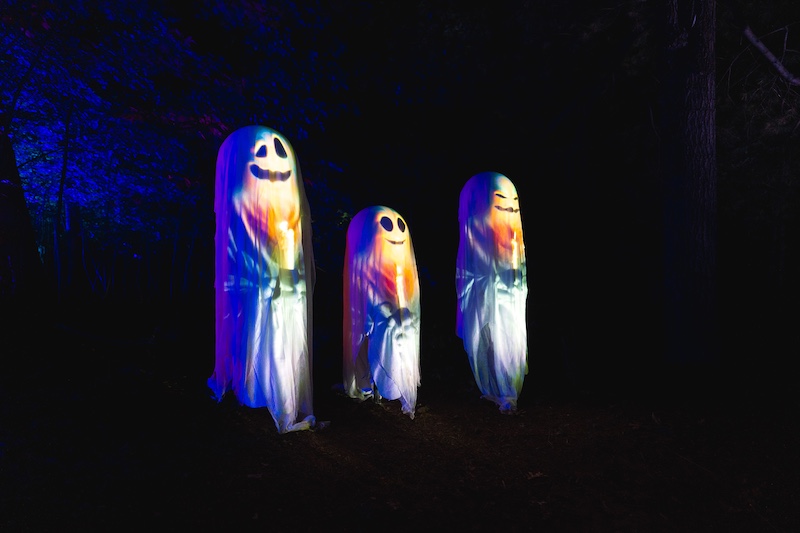 Glenlore Enchanted Ghots