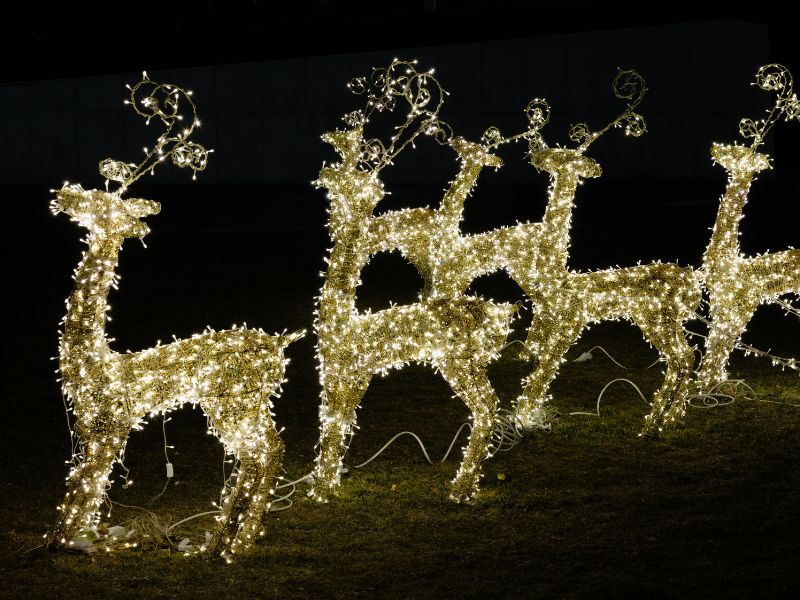 Lighted deers Christmas lights