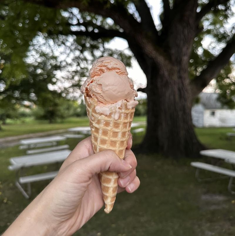 farmhaus farms ice cream cone in front of walnut tree fb