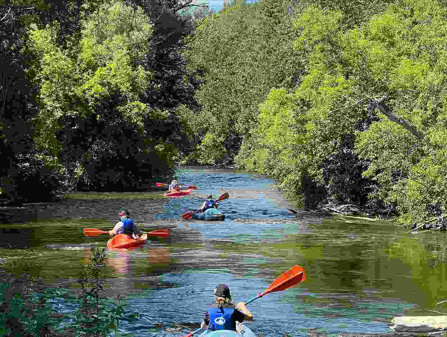 sturgeon river paddlesports