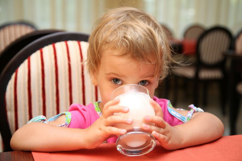 toddler girl drinking milk at restaurant