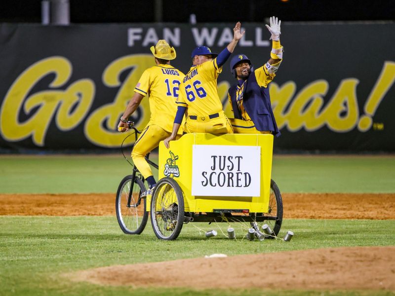 Banana Ball Savannah Bananas Just Scored