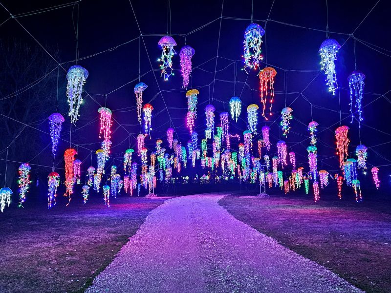 Drive Through Holiday Lights at Deer Tracks Junction