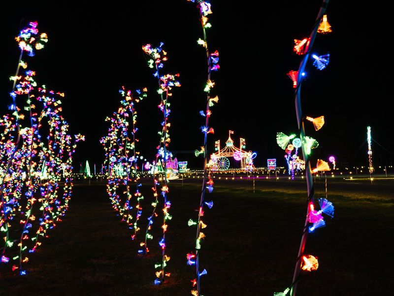 Drive Through Holiday Lights Adventure at Deer Tracks Junction