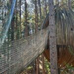 This Michigan Canopy Walk has You Playing in the Trees at Dow Gardens
