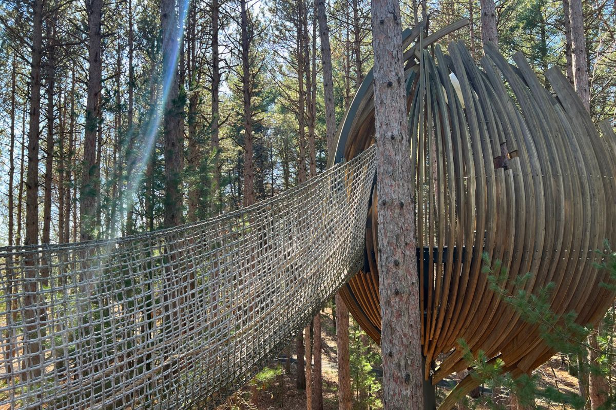 Midland Canopy Walk Dow Gardens Hunt