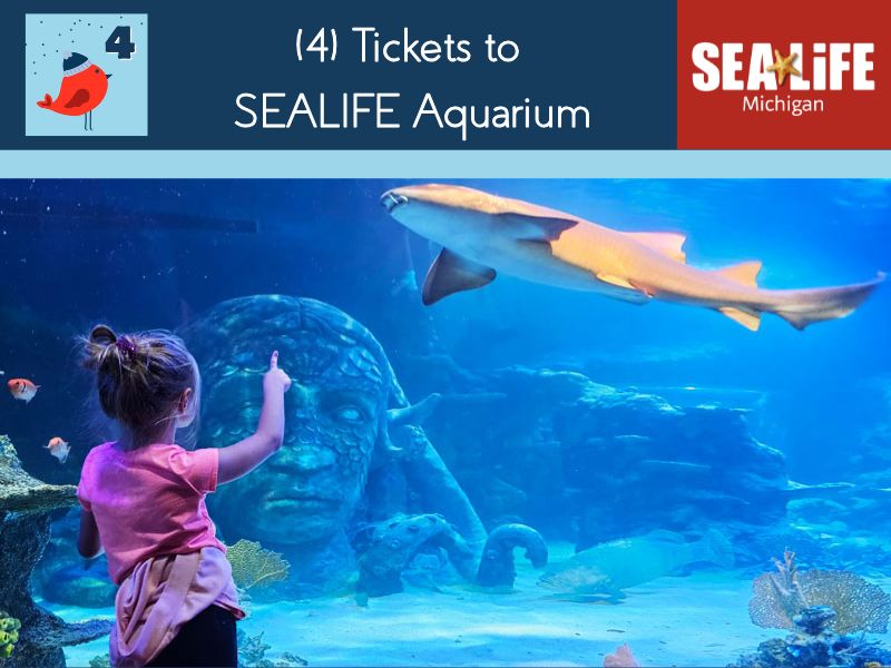 12 Days Giveaways 2024 Sealife