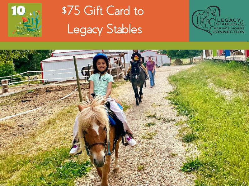 12 Days Giveaways Legacy Stables