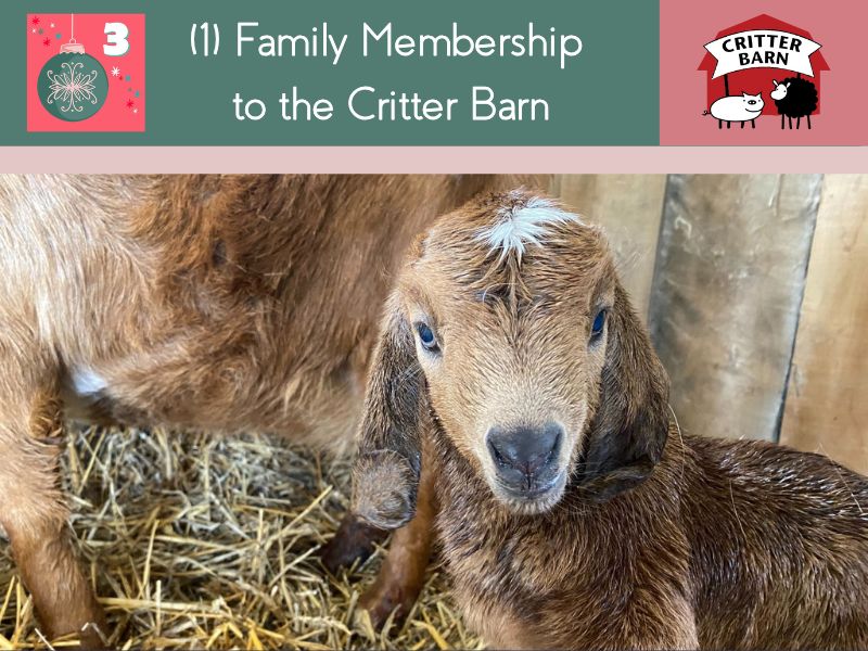 12 Giveaways 2024 Critter Barn