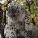 WIN Big with John Ball Zoo’s Holiday Giveaway & Exclusive Membership Deal!