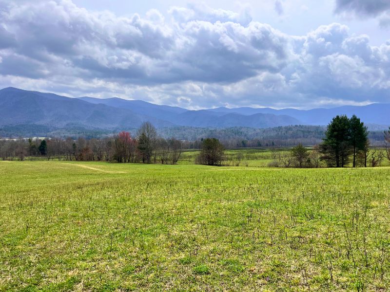 View of Cades Cove Loop in Smoky Mountains National Park