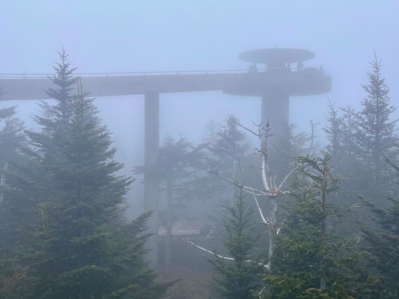 Clingman's Dome in the fog.