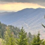Your 2025 Spring Break Guide: Top Things to Do in The Smoky Mountains