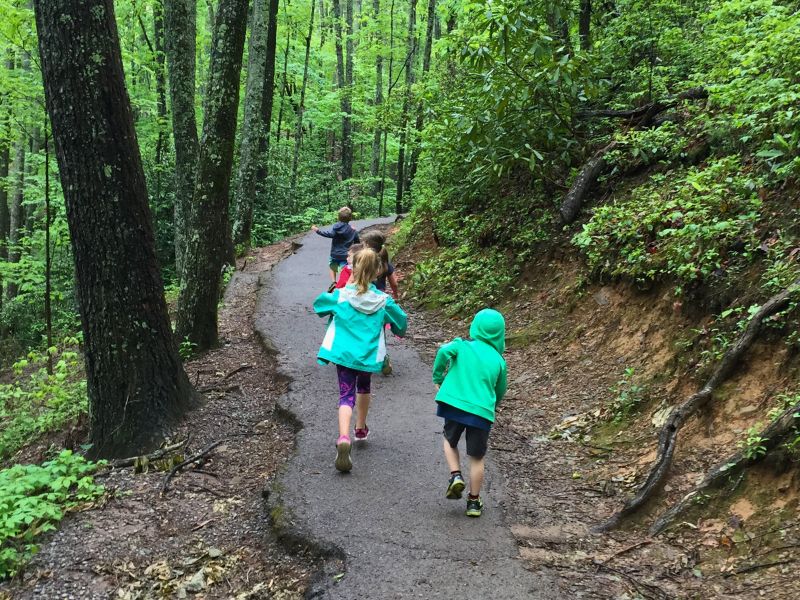 Kids hike along the trail to Laurel Falls in the Great Smoky Mountains National Park.