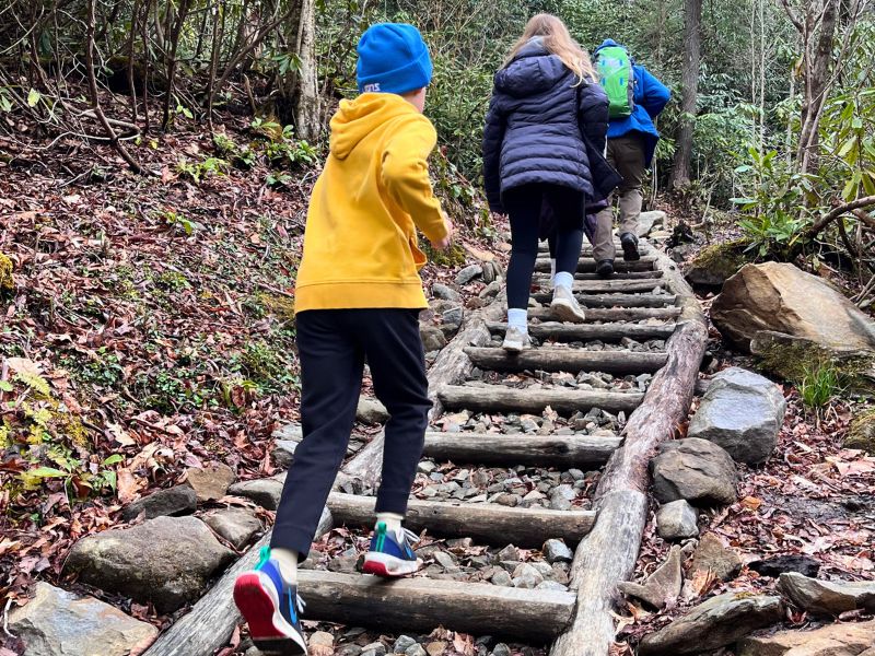 Climing a log ladder on the trail to Ramsey Cascades in the Smoky Mountains