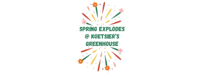 Koetsier's Greenhouse