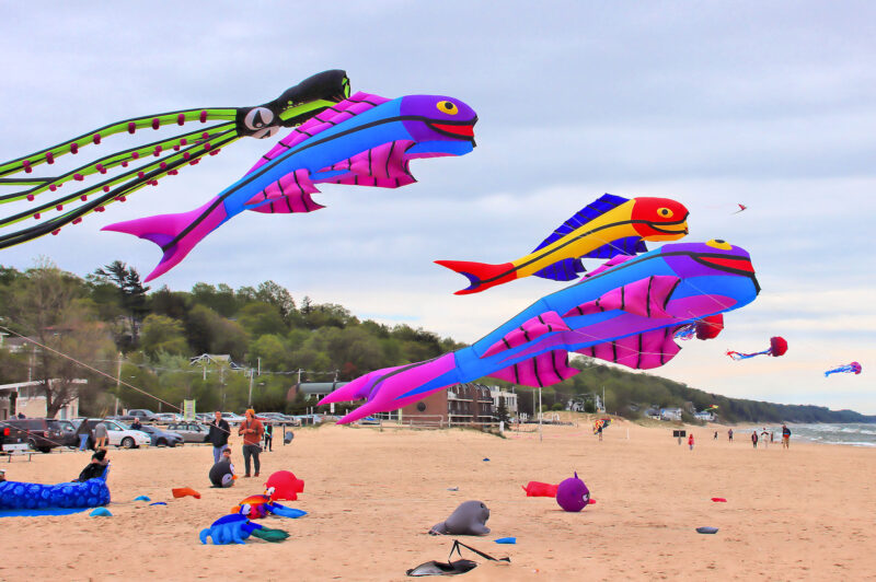 Grand Haven Kite Festival 2025 Fish Kites - FB