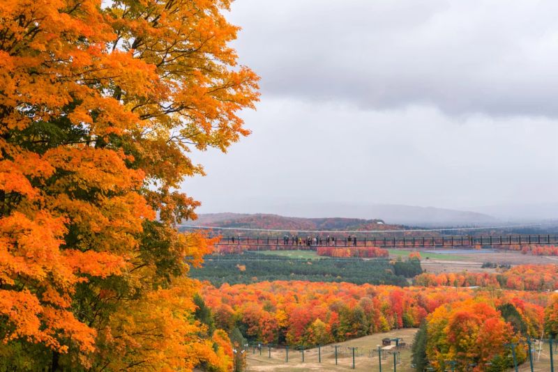 SkyBridge Michigan look at the bridge from secret trail website