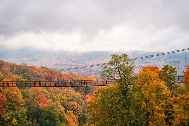 Skybridge Michigan bird eye look in fall website