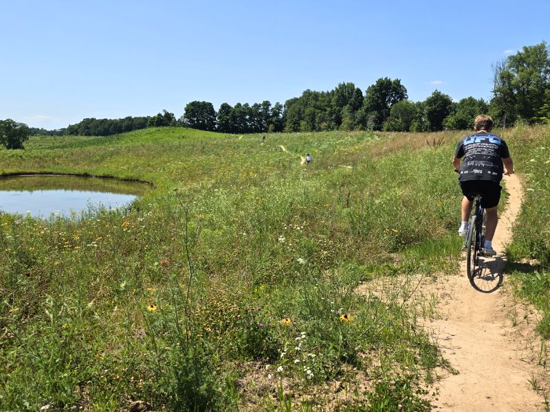 Wahlfield Park Biker On Trail Ver