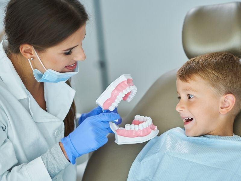 Best Dentists Boy With Dentist With Teeth Model Canva By Macniak