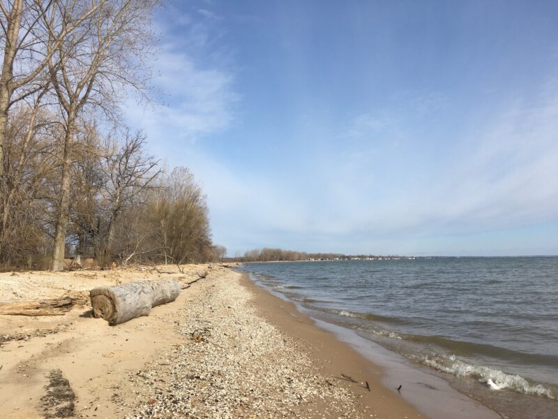 Bay City State Park Facebook