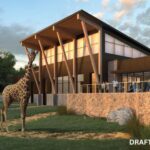 Giraffes Are Coming to John Ball Zoo & We’re Already Obsessed
