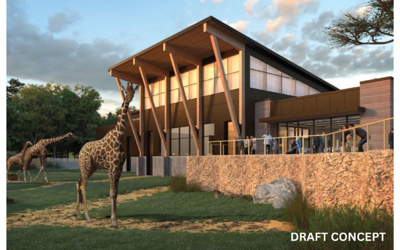 Rendering by TowerPinkster and Stefansson Design & Consulting courtesy of John Ball Zoo