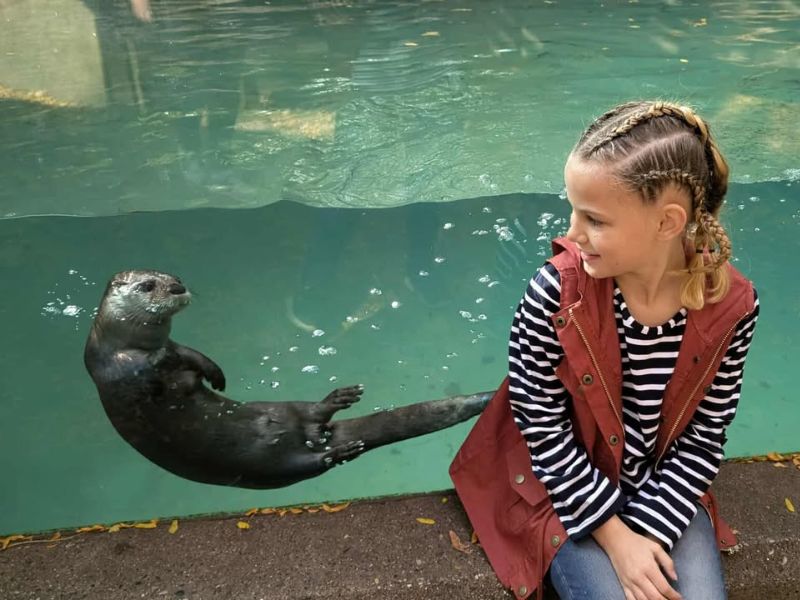 John Ball Zoo girl by otter FB