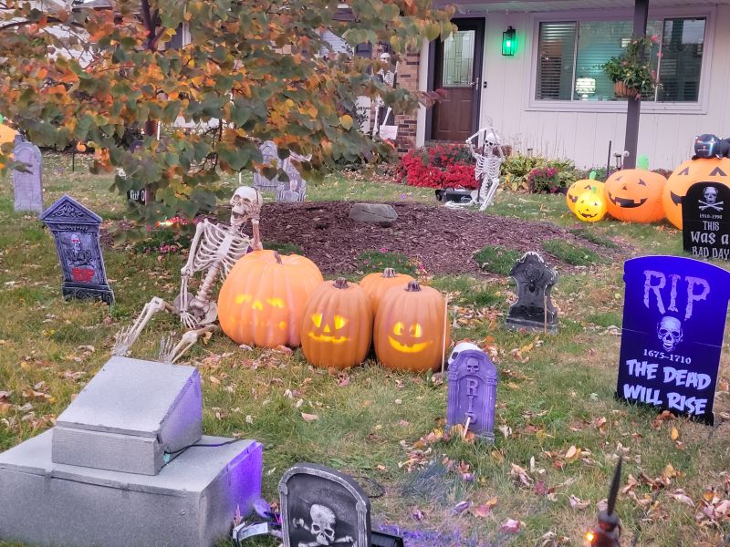 Talking Pumpkins Image