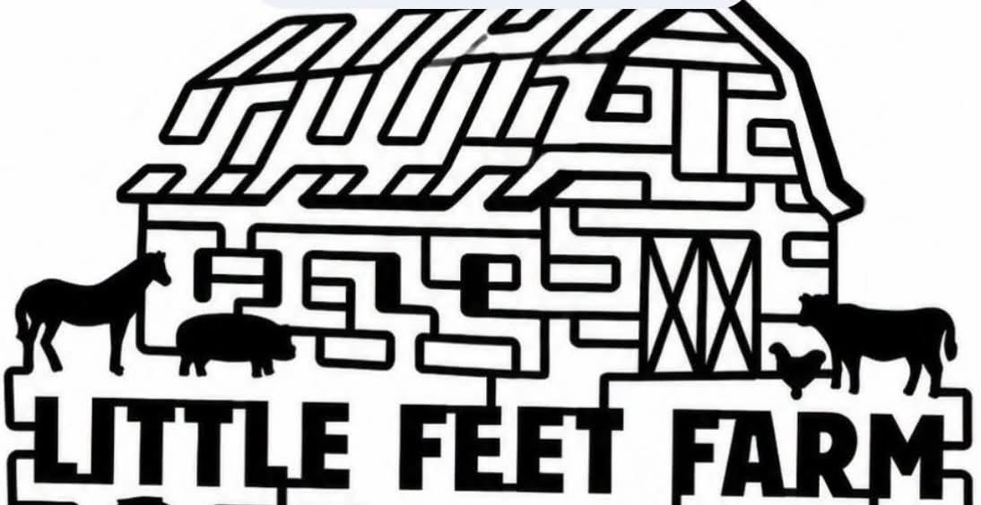 Little Feet corn maze 2026
