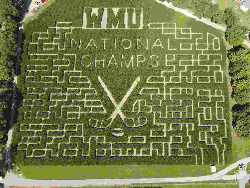 gull-meadows-corn-maze-2025
