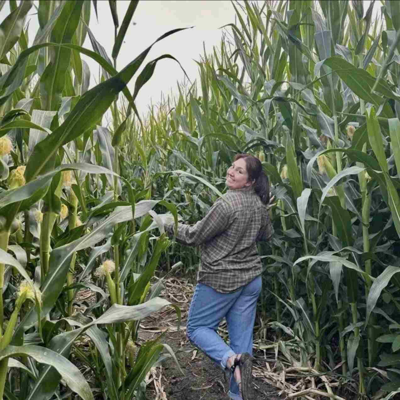 orchards at red barn corn maze 2025