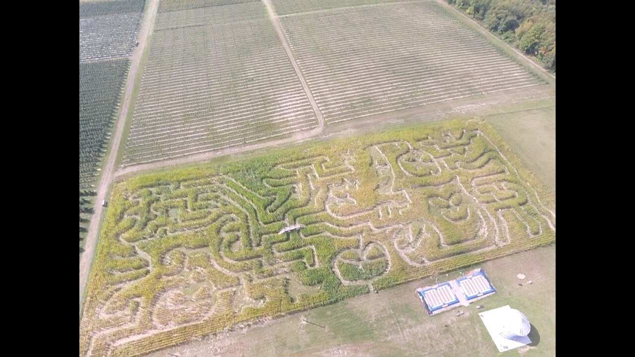 schwaillers corn maze 2025
