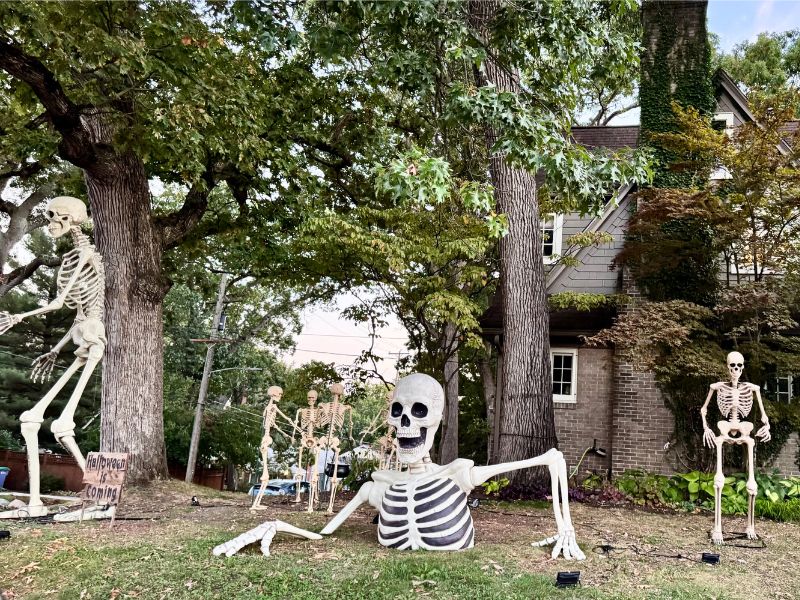 1522 Hall St SE Image