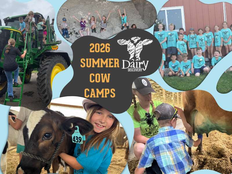Diary Discovery - 2026 Summer Camp - Feat Img