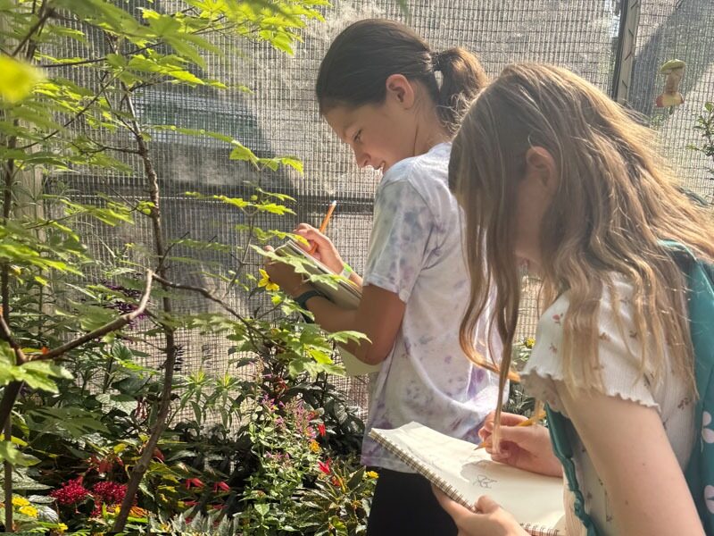 Lionardo Art Camps gallery image 3