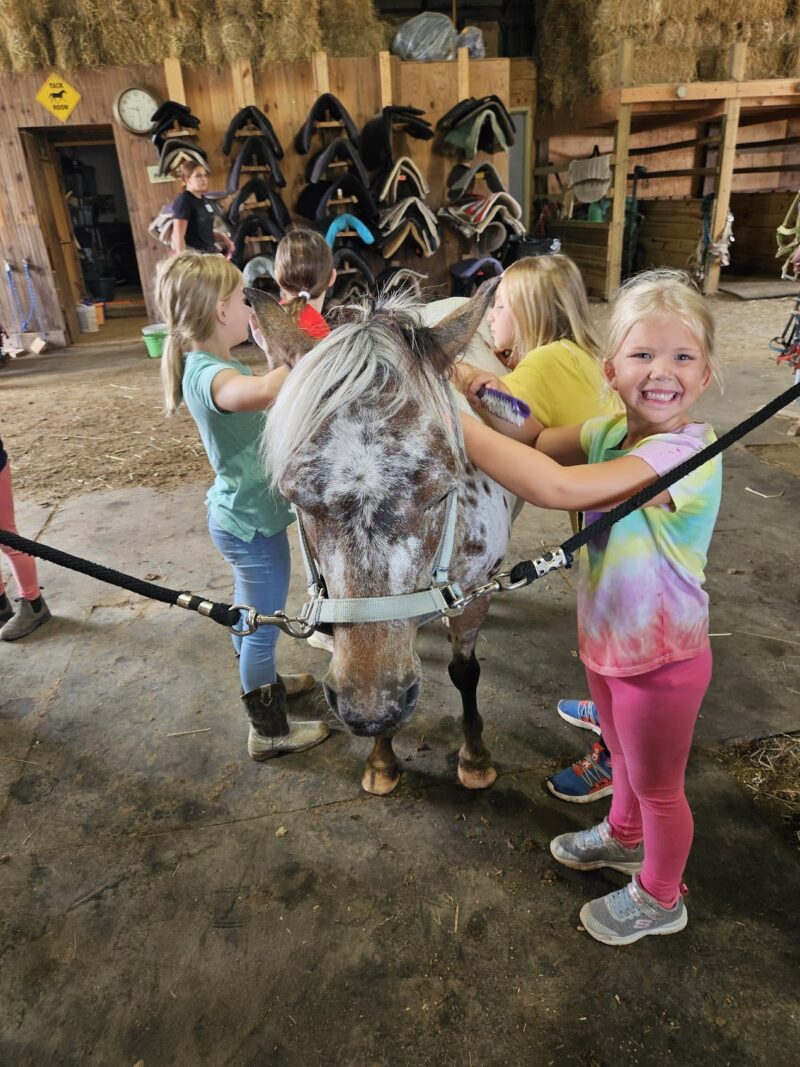 Karin's Horse Connection & Legacy Stables gallery image 1