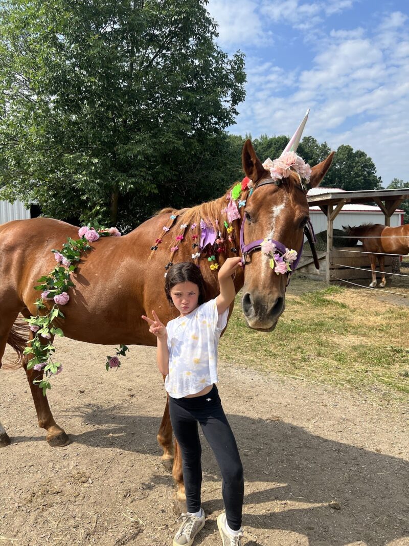 Karin's Horse Connection & Legacy Stables gallery image 3