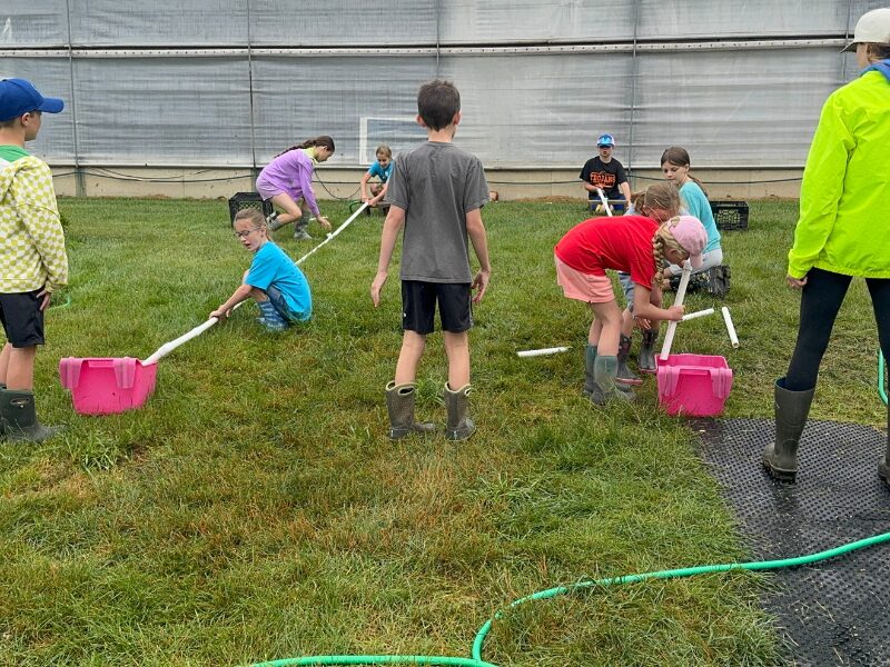 Dairy Discovery gallery image 1