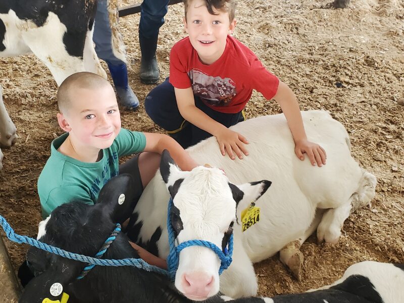 Dairy Discovery photo