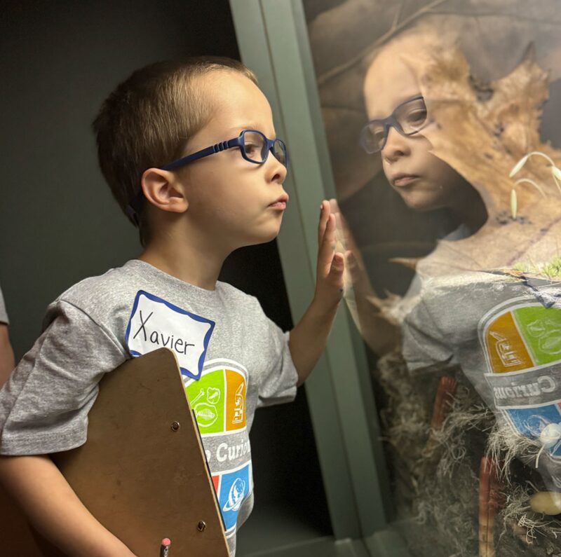 Grand Rapids Public Museum gallery image 5